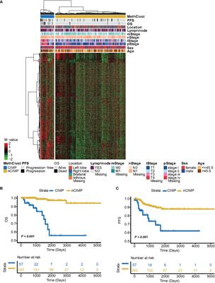 Characterization of the CpG island methylator phenotype subclass in papillary thyroid carcinoma